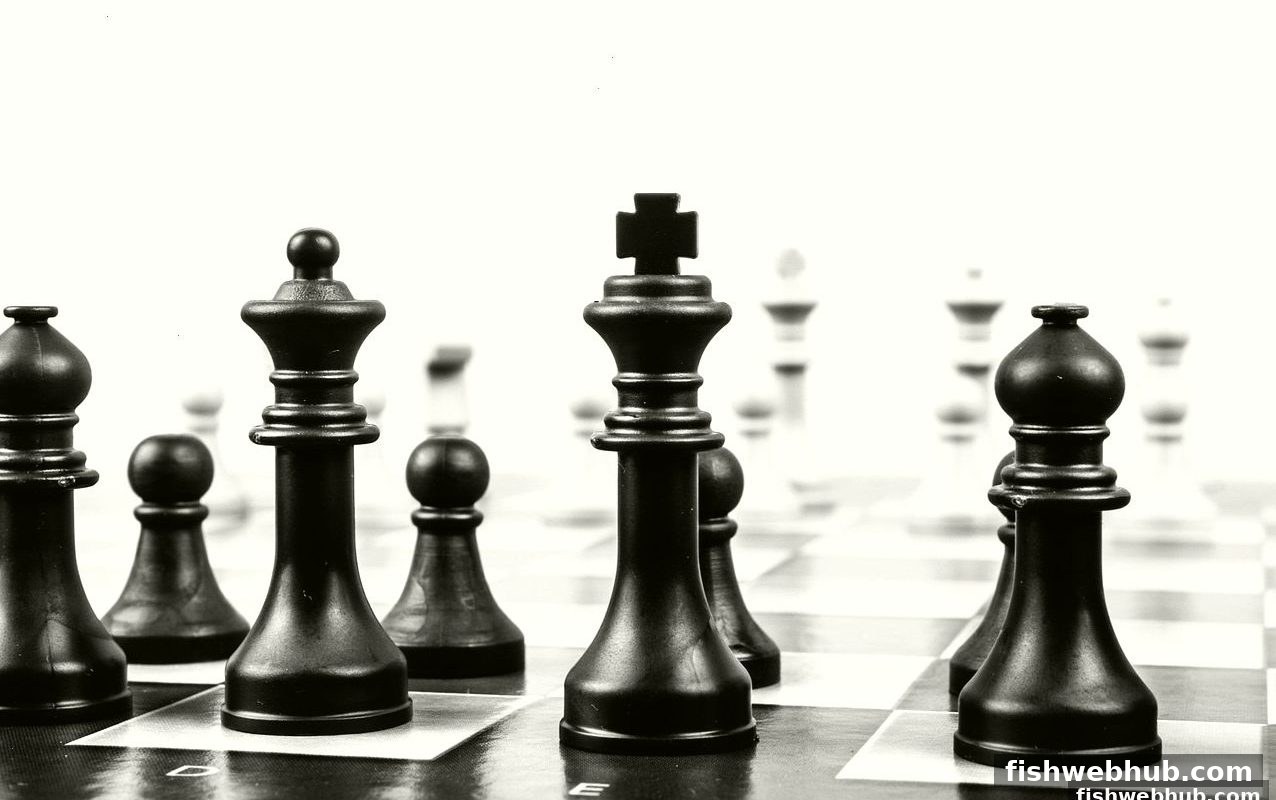 捕鱼达人网页版 | 围棋初学者必备技巧与知识全攻略