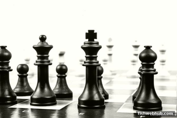 捕鱼达人网页版 | 围棋初学者必备技巧与知识全攻略