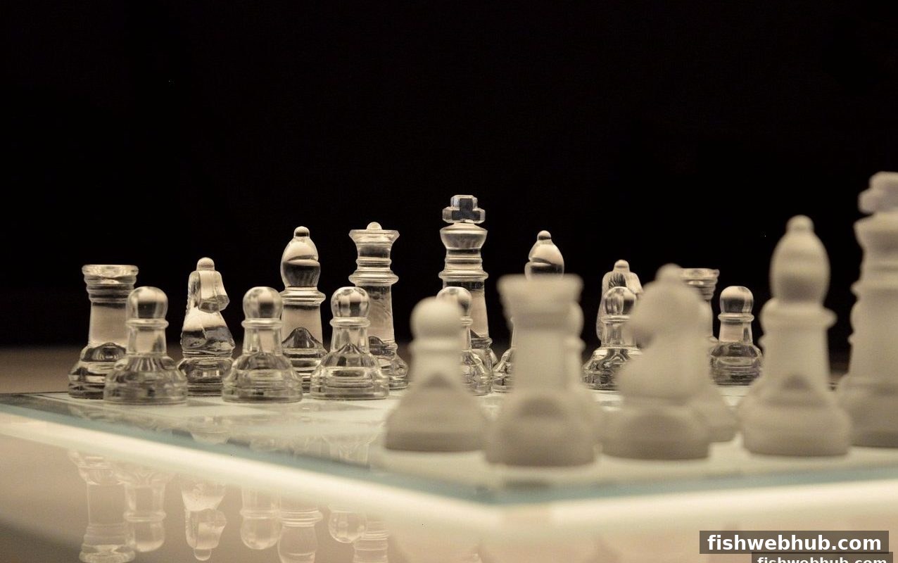 捕鱼达人网页版带你精通真人互动棋牌术语：从发牌到策略的全面指南