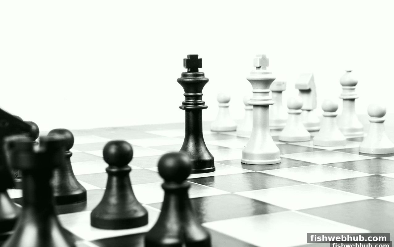从牌戏演变到概率博弈,捕鱼达人网页版带你解锁棋牌乐趣