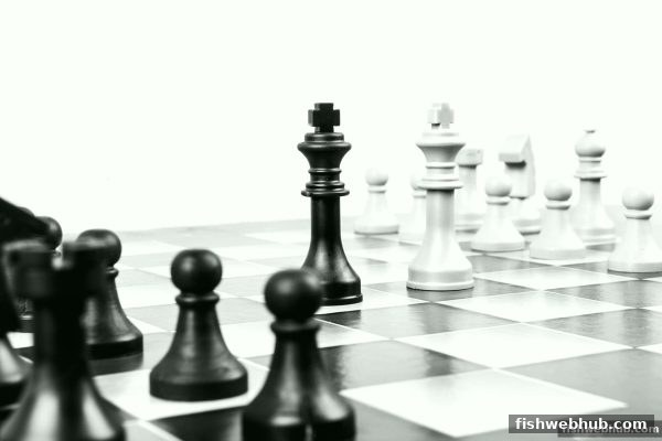 从牌戏演变到概率博弈，捕鱼达人网页版带你解锁棋牌乐趣
