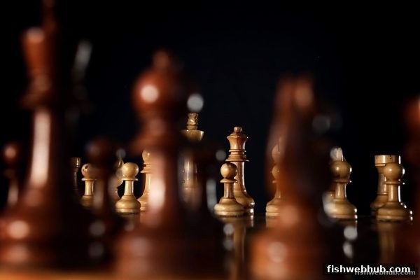 棋牌文化中的智慧密码：捕鱼达人网页版带您领略血战麻将与围棋的教育魅力