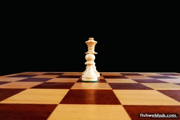 泰达币扑克新手全攻略：捕鱼达人网页版带你解锁数字筹码博弈