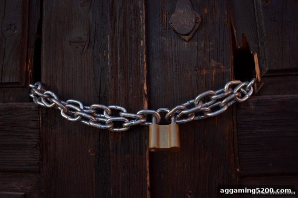 捕鱼达人网页版玩家必读：从真实教训中学会识别娱乐陷阱