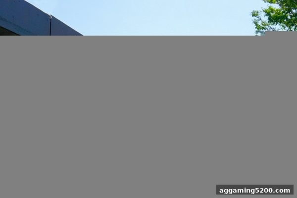 捕鱼达人网页版玩家的纠纷处理与权益维护指南