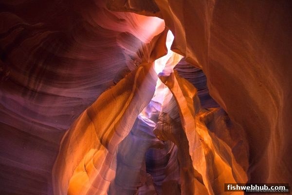 捕鱼达人网页版深度解析：利澳电子游戏特殊符号类型全攻略